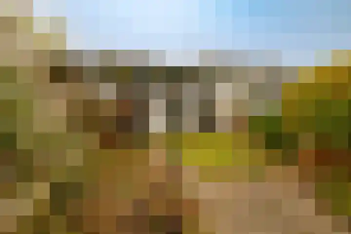 Kinheimweg 51 Bloemendaal thumbnail 4