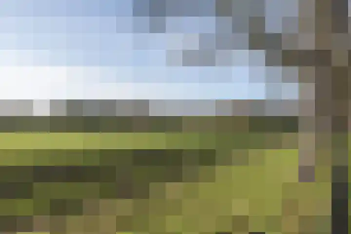 Kinheimweg 55 Bloemendaal thumbnail 36
