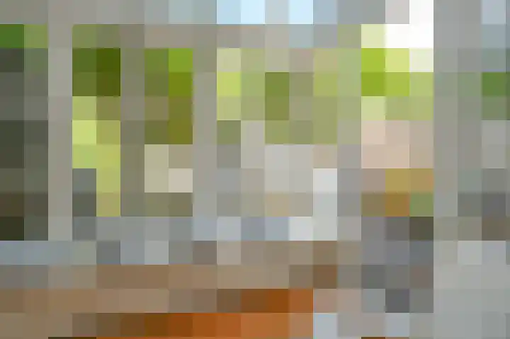 Kinheimweg 69 Bloemendaal thumbnail 12