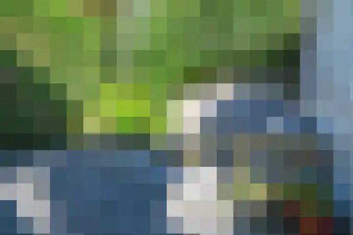 Kinheimweg 69 Bloemendaal thumbnail 36