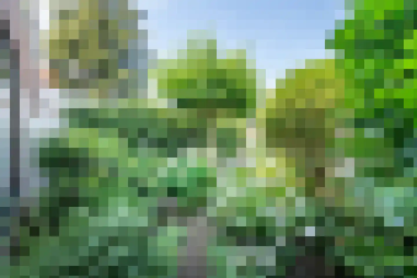 Kinheimweg 79 Bloemendaal thumbnail 11