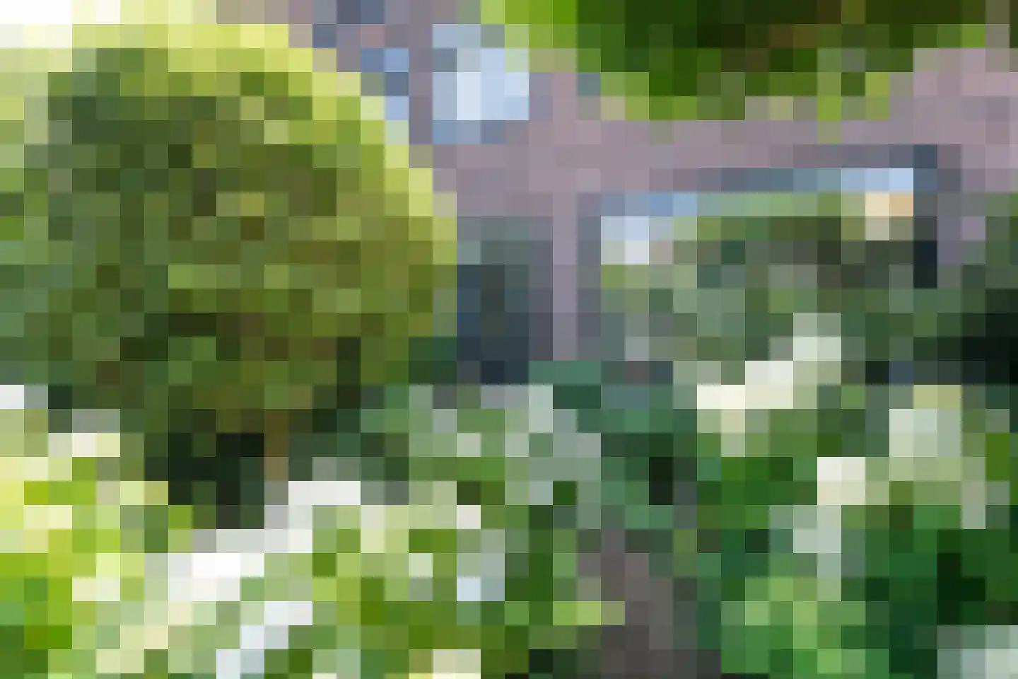 Kinheimweg 79 Bloemendaal thumbnail 14