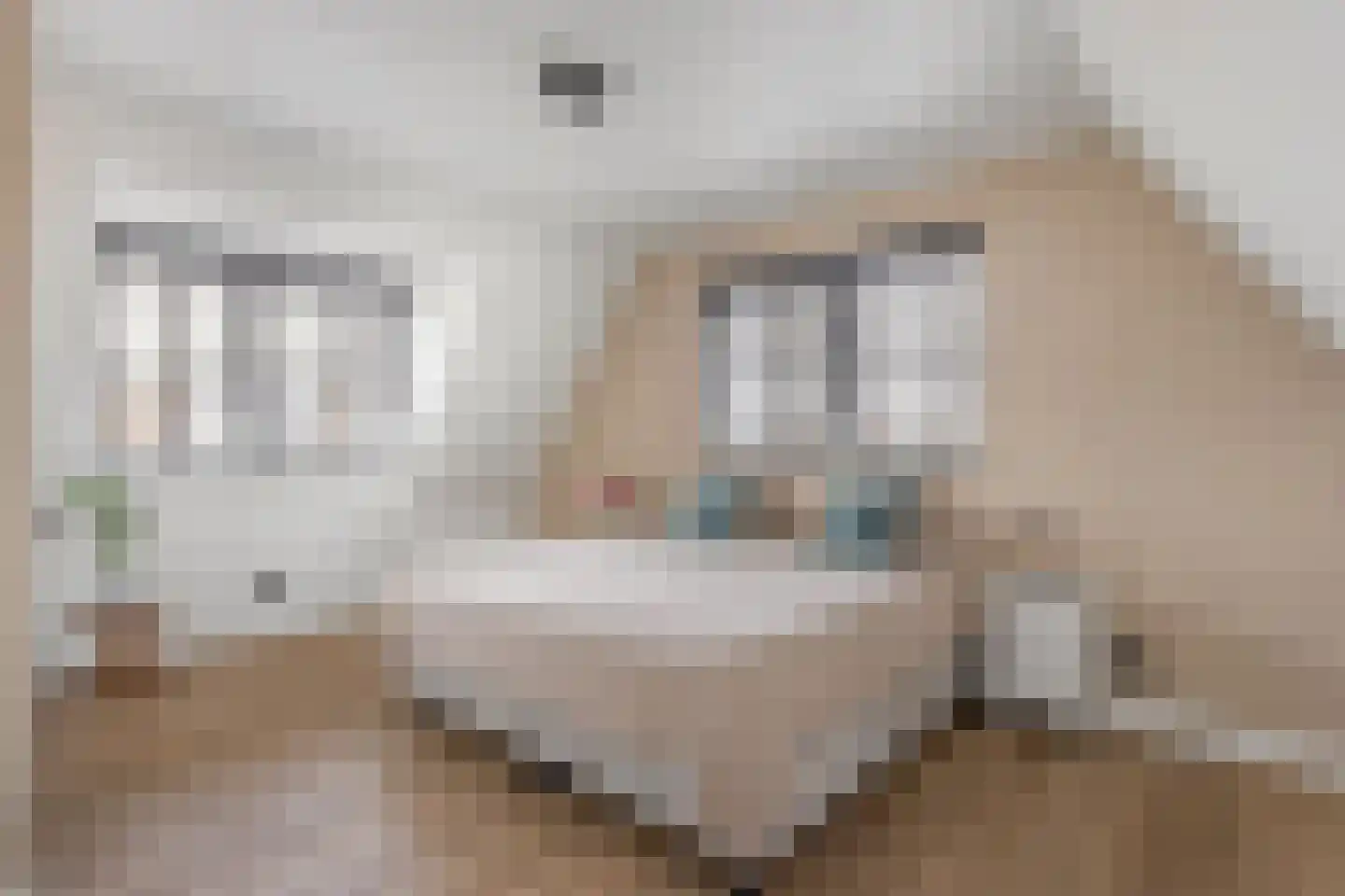 Kinkeboer 8 Ootmarsum thumbnail 13