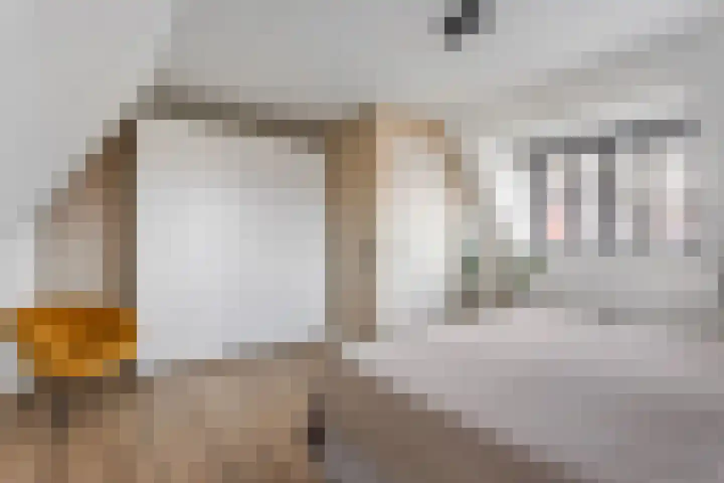 Kinkeboer 8 Ootmarsum thumbnail 14
