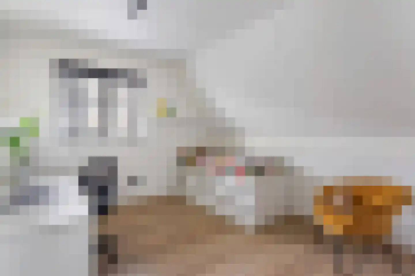 Kinkeboer 8 Ootmarsum thumbnail 16