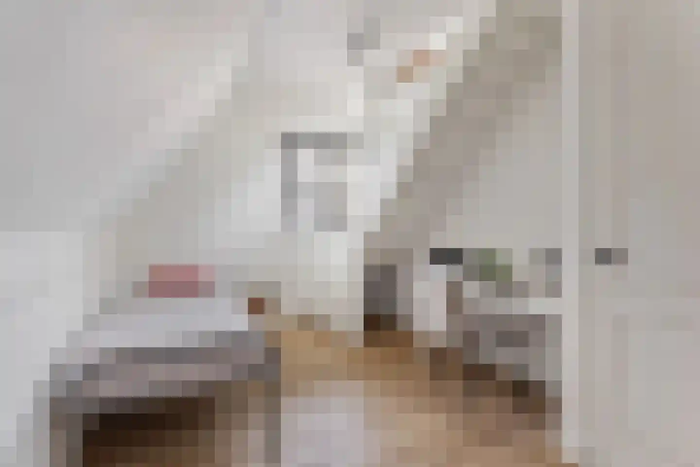 Kinkeboer 8 Ootmarsum thumbnail 17