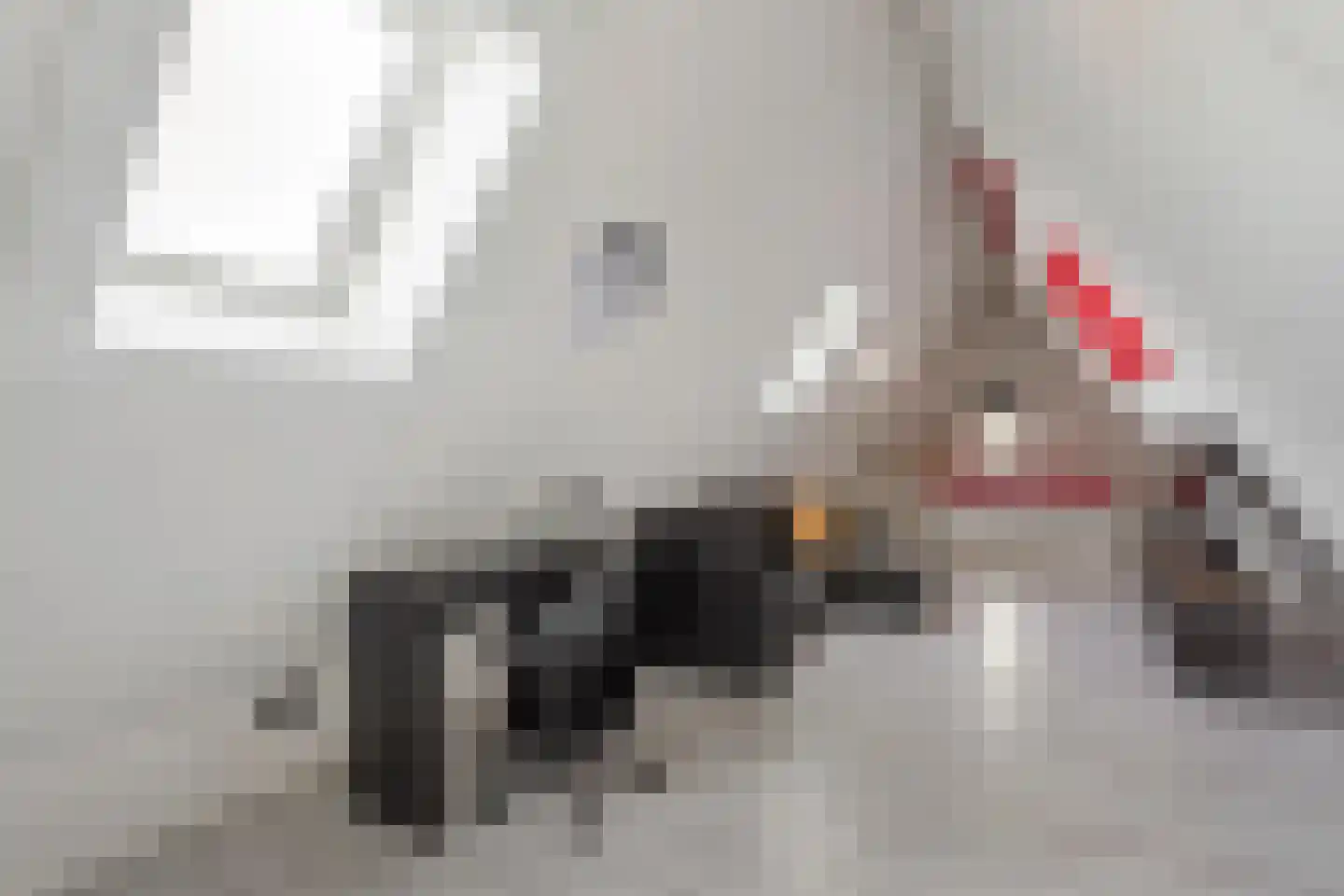 Kinkeboer 8 Ootmarsum thumbnail 18