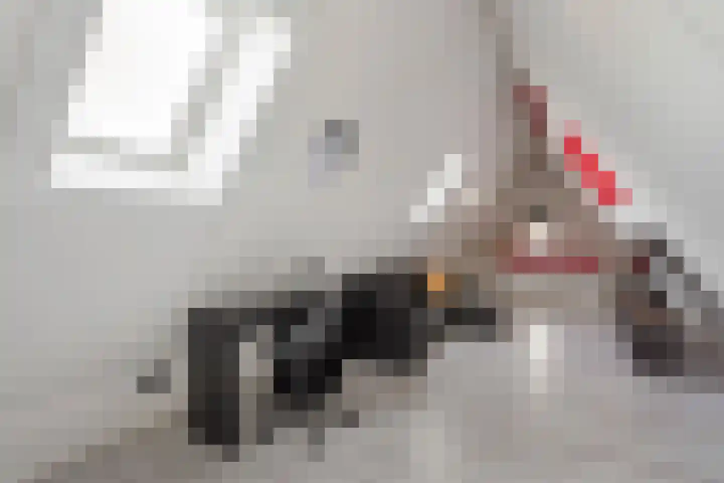 Kinkeboer 8 Ootmarsum thumbnail 18
