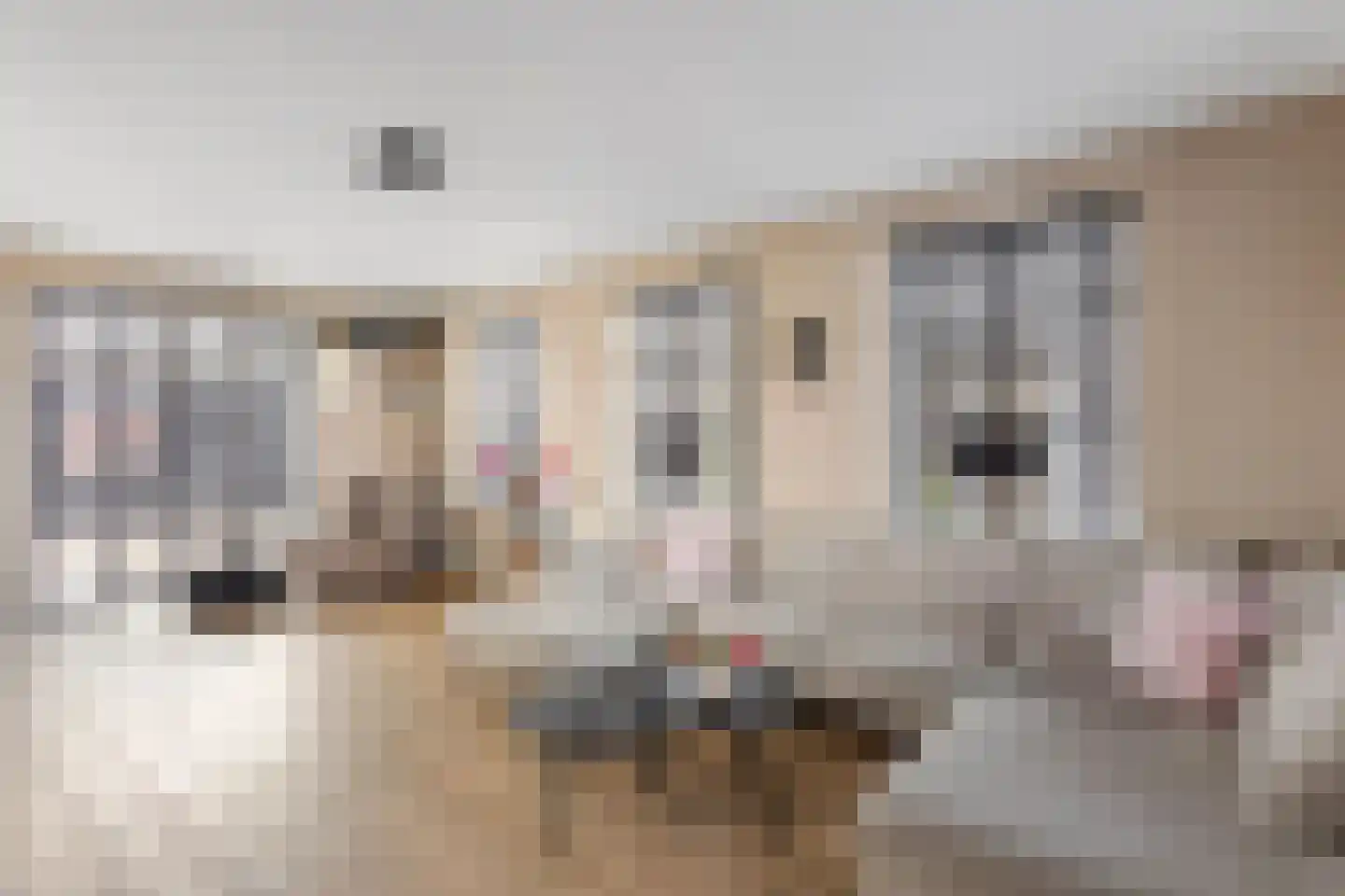 Kinkeboer 8 Ootmarsum thumbnail 9