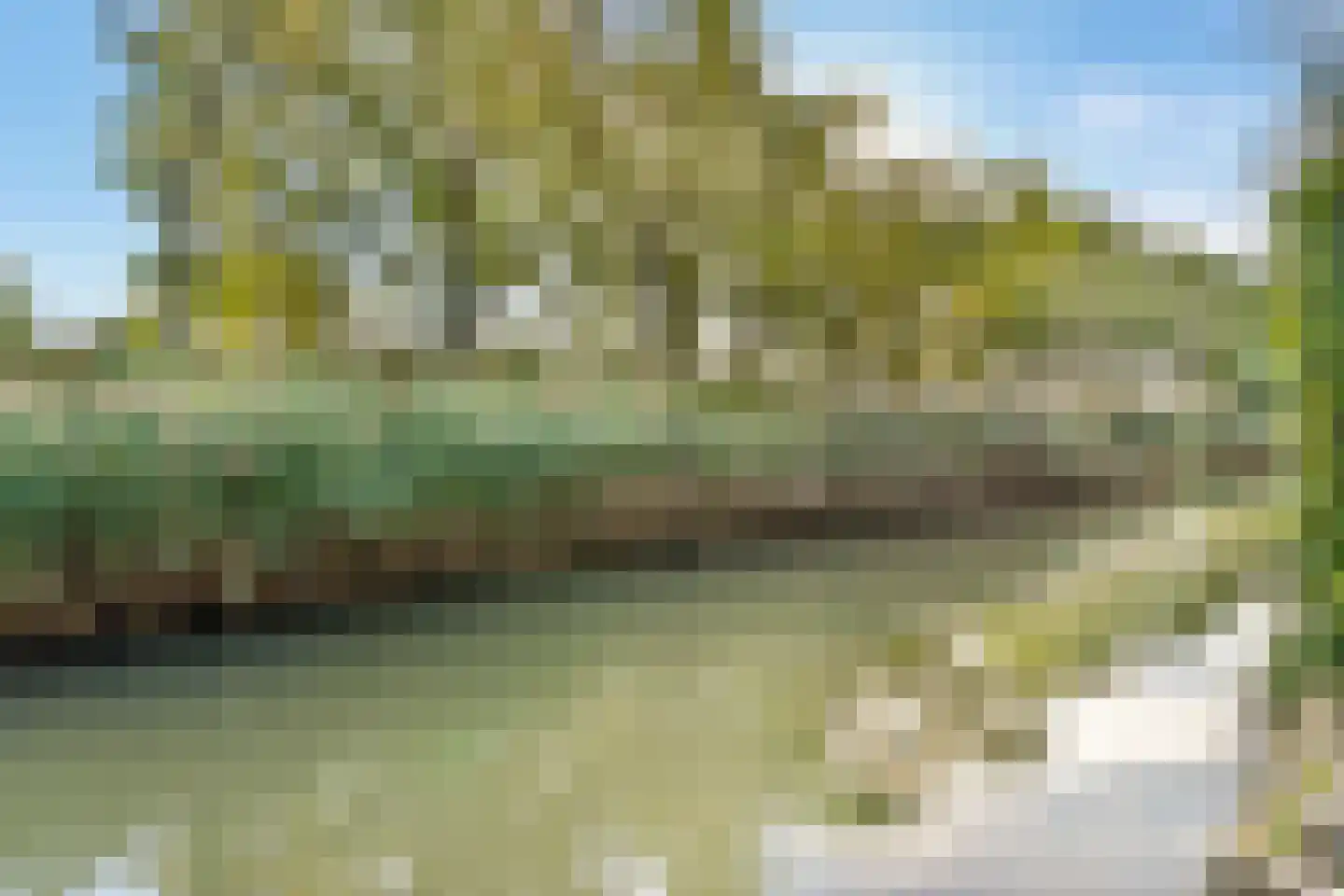 Kinkelenburg 103 Dordrecht thumbnail 10