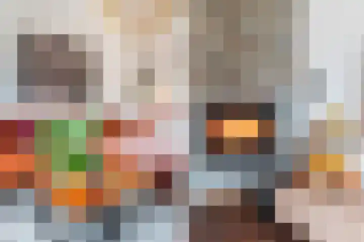 Kinkelenburg 155 Dordrecht thumbnail 13