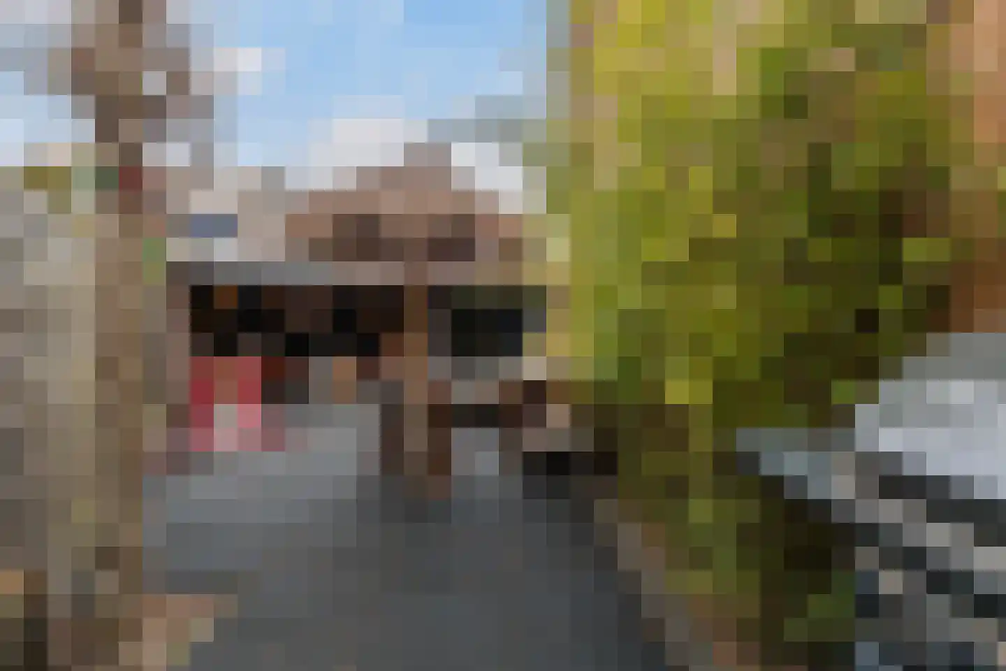Kinkelenburg 155 Dordrecht thumbnail 24