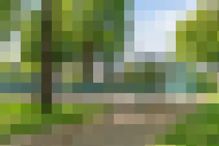 Kinkelenburg 17 Dordrecht thumbnail 53