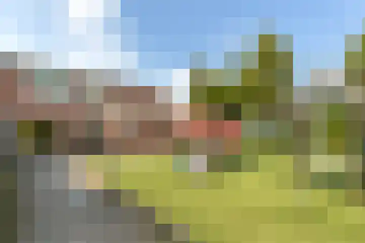 Kinkelenburg 205 Dordrecht thumbnail 5