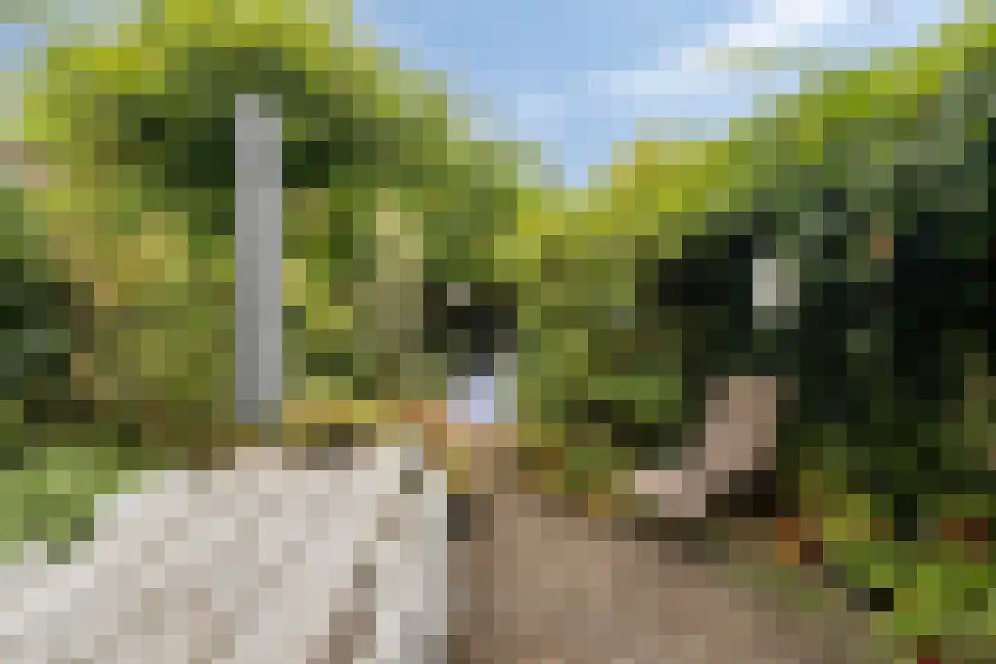 Kinkelenburg 24 Ugchelen thumbnail 18