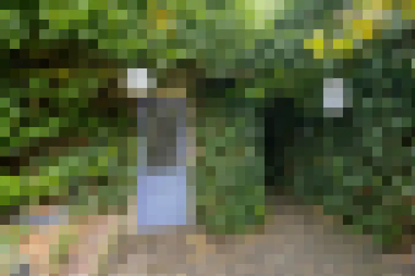 Kinkelenburg 24 Ugchelen thumbnail 19