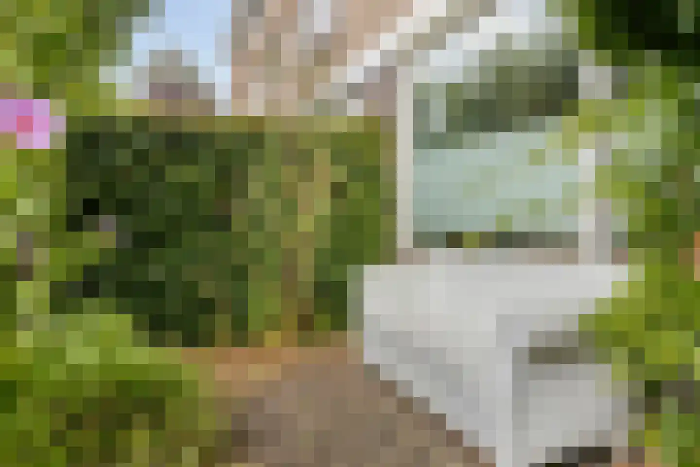 Kinkelenburg 24 Ugchelen thumbnail 21