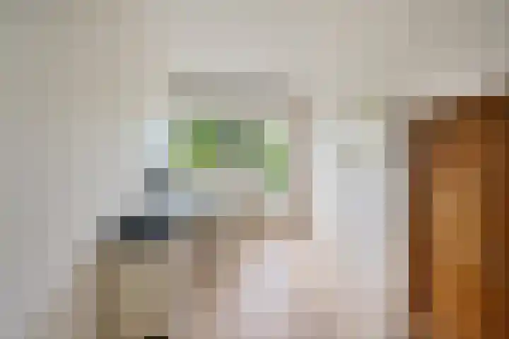 Kinkelenburg 69 Dordrecht thumbnail 33