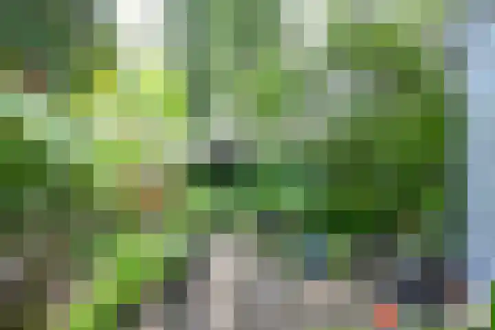 Kinkelenburg 69 Dordrecht thumbnail 5