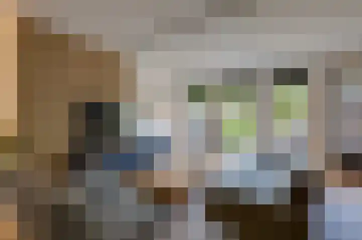 Kinkelenburgallee 10 Duiven thumbnail 14
