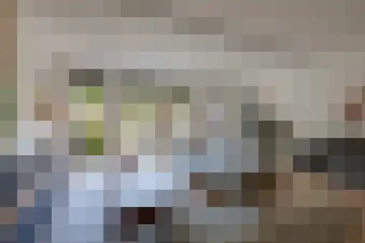 Kinkelenburgallee 10 Duiven thumbnail 15