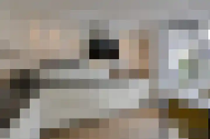 Kinkelenburgallee 10 Duiven thumbnail 23