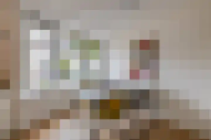 Kinkelenburgallee 10 Duiven thumbnail 25