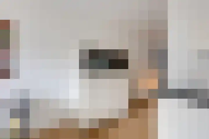 Kinkelenburgallee 10 Duiven thumbnail 27