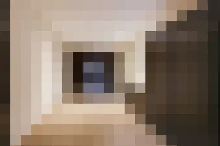Kinkelenburgallee 10 Duiven thumbnail 29
