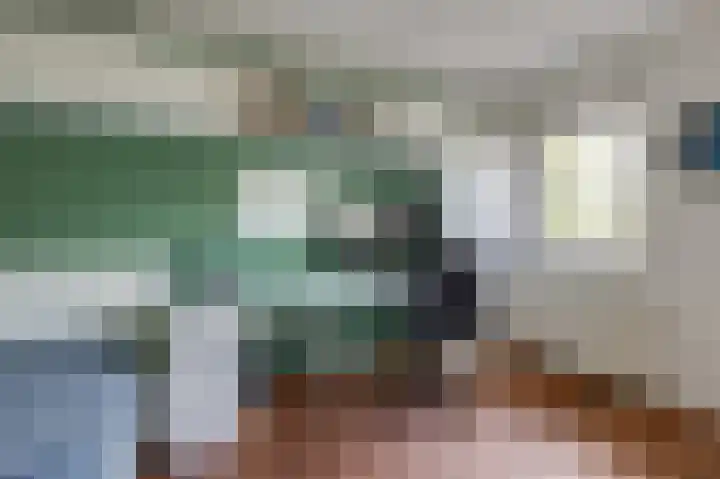 Kinkelenburgallee 10 Duiven thumbnail 37
