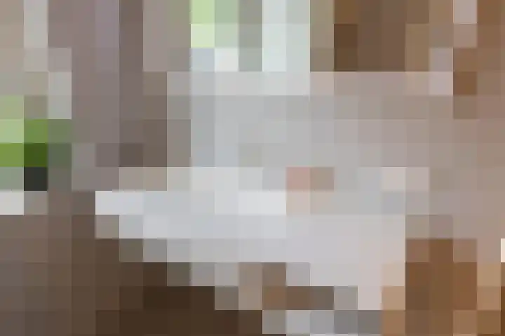 Kinkelenburgallee 10 Duiven thumbnail 43