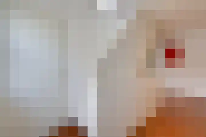 Kinkelenburgallee 10 Duiven thumbnail 47