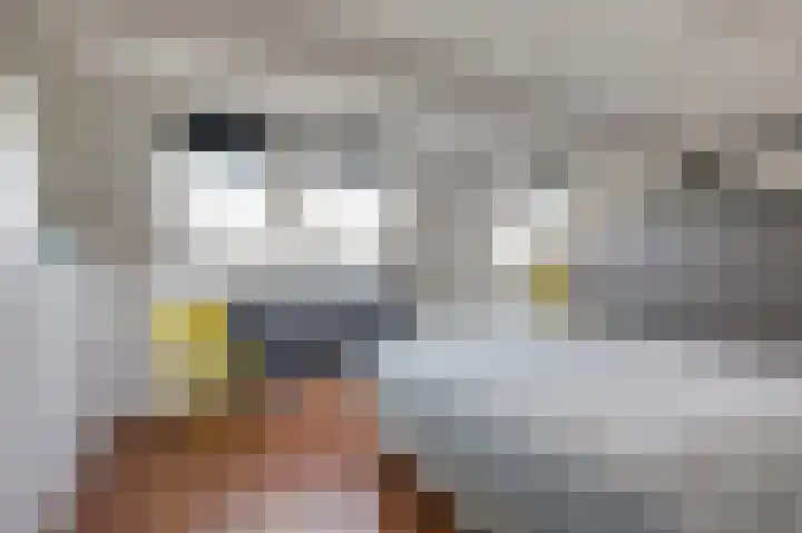 Kinkelenburgallee 10 Duiven thumbnail 51