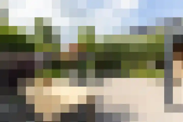 Kinkelenburgallee 10 Duiven thumbnail 60