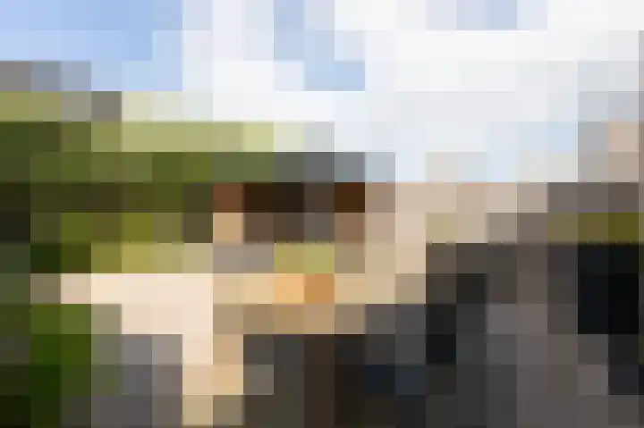 Kinkelenburgallee 10 Duiven thumbnail 61
