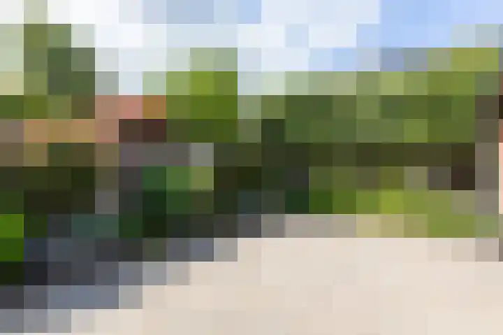 Kinkelenburgallee 10 Duiven thumbnail 62
