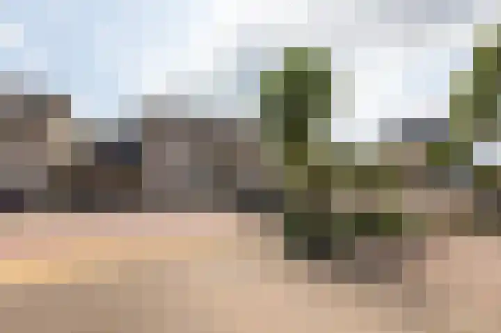Kinkelenburgallee 10 Duiven thumbnail 70