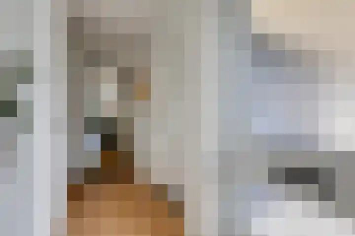 Kinkelenburgallee 10 Duiven thumbnail 8