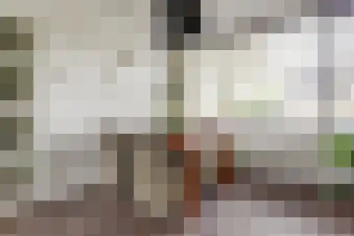 Kinkelenburglaan 21 Arnhem thumbnail 20