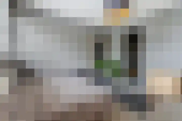 Kinkelenburglaan 21 Arnhem thumbnail 29