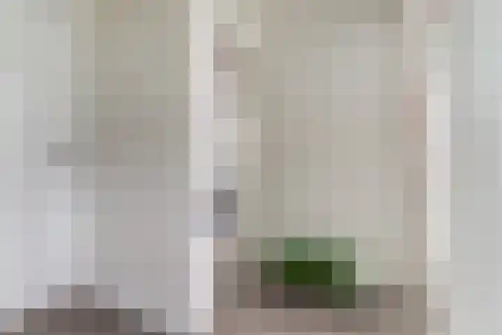 Kinkelenburglaan 21 Arnhem thumbnail 31