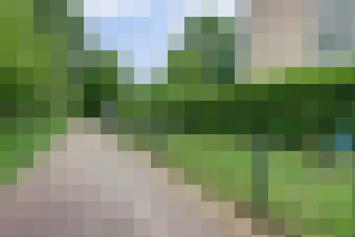 Kinkelenburglaan 21 Arnhem thumbnail 41