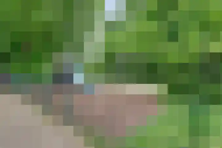 Kinkelenburglaan 21 Arnhem thumbnail 42