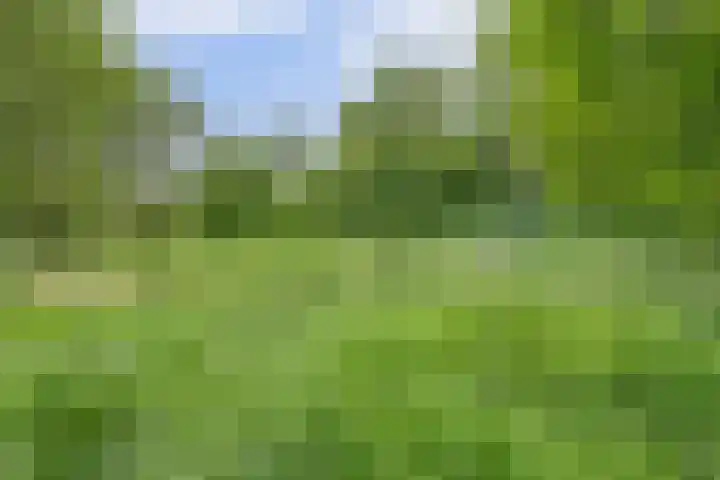 Kinkelenburglaan 21 Arnhem thumbnail 43