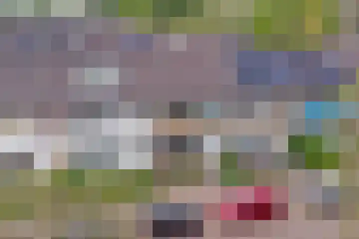 Kinkelenburglaan 21 Arnhem thumbnail 45