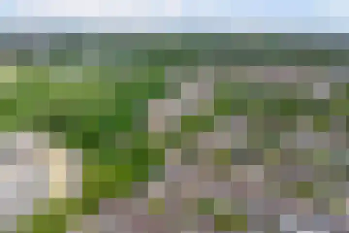 Kinkelenburglaan 21 Arnhem thumbnail 47