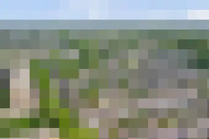 Kinkelenburglaan 21 Arnhem thumbnail 48