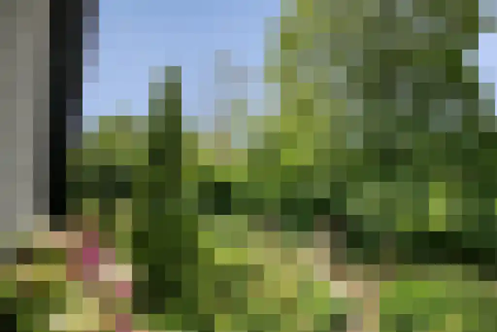 Kinkenpolder 10 Kaatsheuvel thumbnail 30