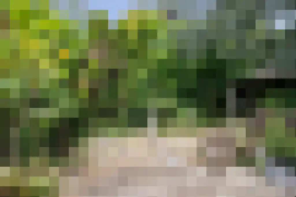 Kinkenpolder 10 Kaatsheuvel thumbnail 34