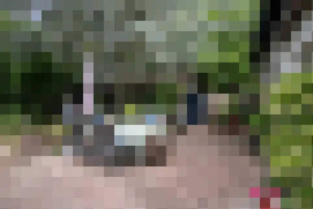 Kinkenpolder 10 Kaatsheuvel thumbnail 35